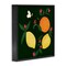 Stupell Industries Citrus & Bumble Bee Framed Giclee Wall Art Design by Michelle Ingari Designs